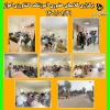 برگزاری کلاس های حضوری در آموزشکده کشاورزی اهواز 31 فروردین 1401 2