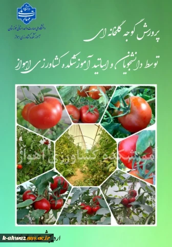 پرورش گوجه گلخانه ای توسط اساتید و دانشجویان آموزشکده کشاورزی اهواز