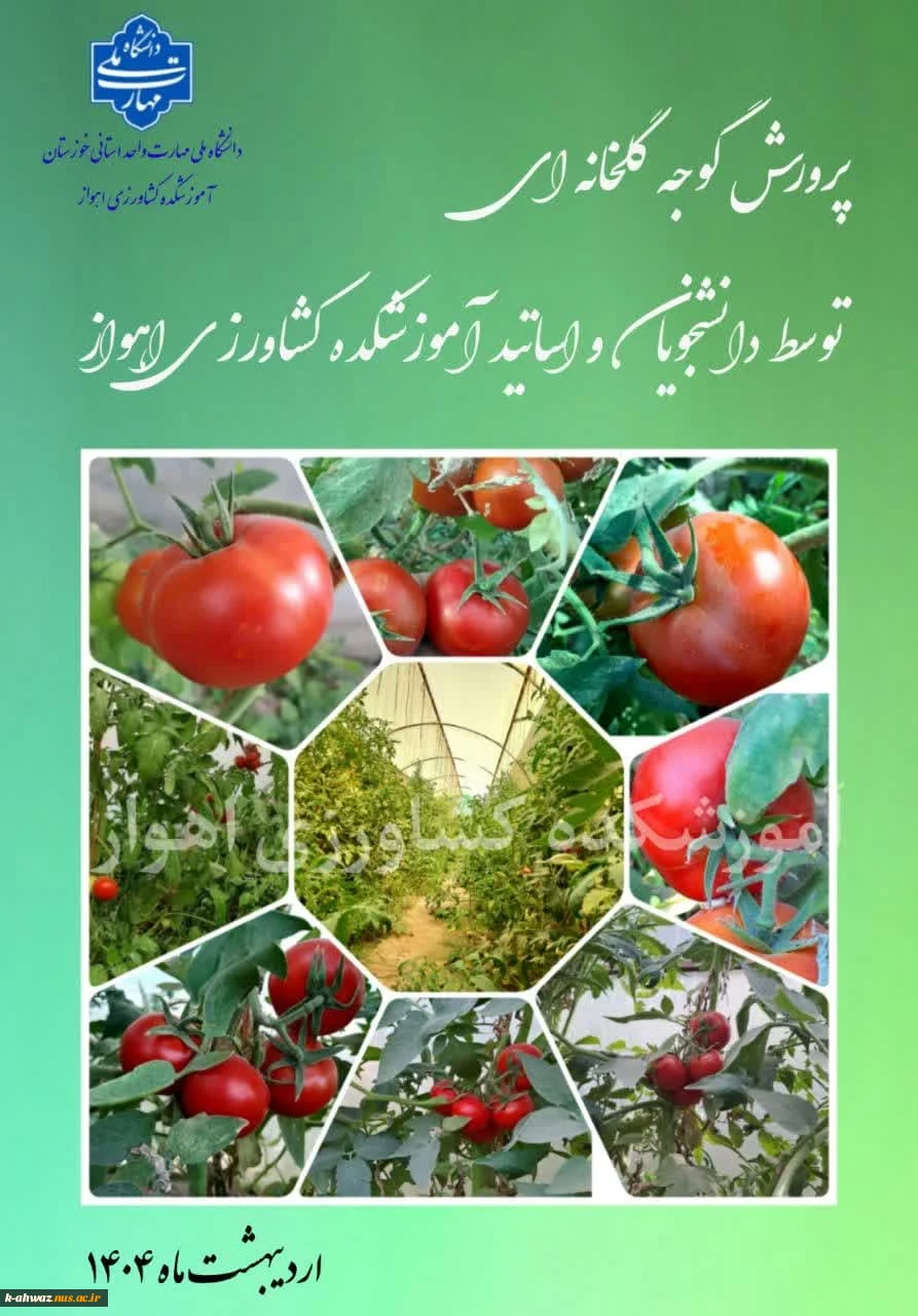 پرورش گوجه گلخانه ای توسط اساتید و دانشجویان آموزشکده کشاورزی اهواز